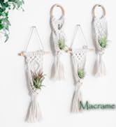 air plant holder