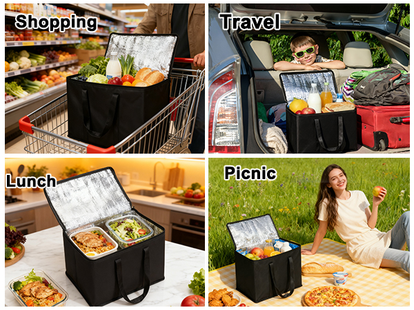 Reusable Insulated Bags