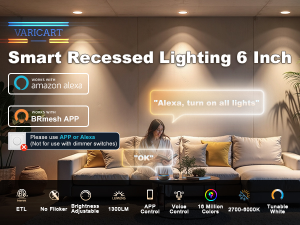smart can light 6in