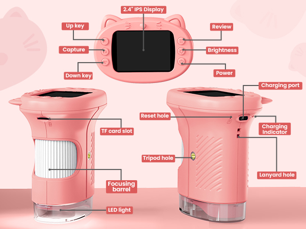 kids Microscope&Magnifying Glass