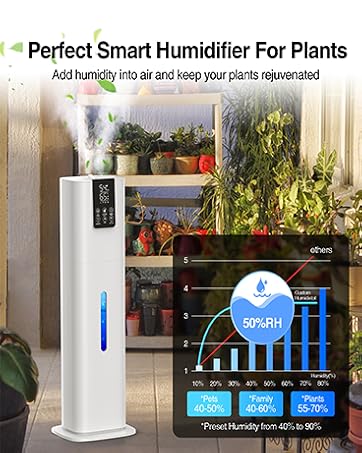 cool mist humidifier