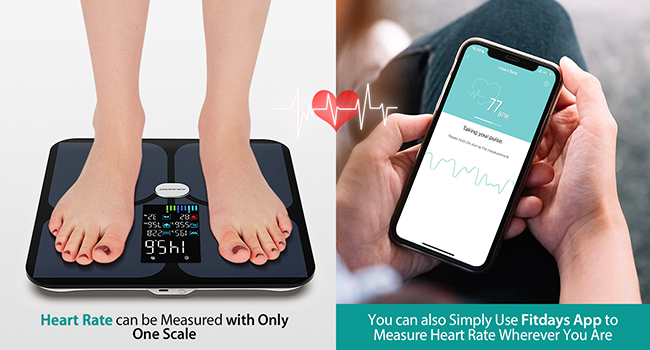 fitdays smart body scale