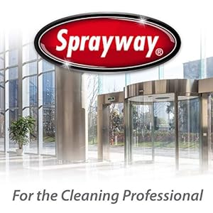 Professional Cleaning