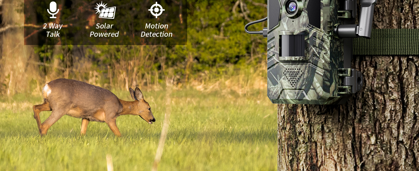 trail camera