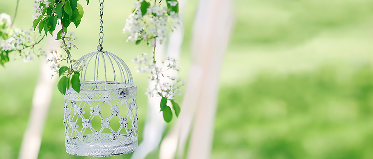 Large Bird Cage Cover