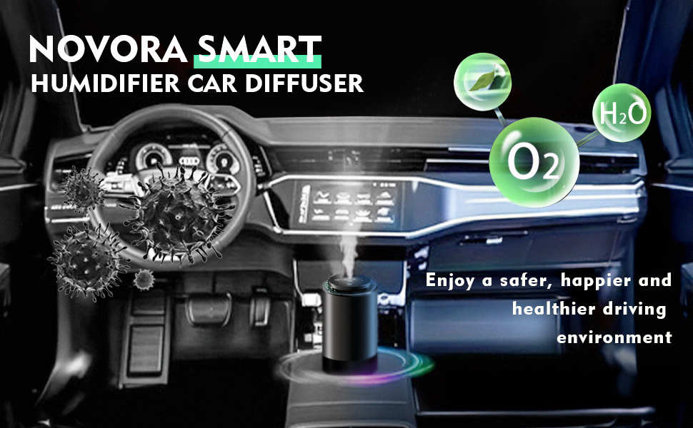car fresheners long lasting