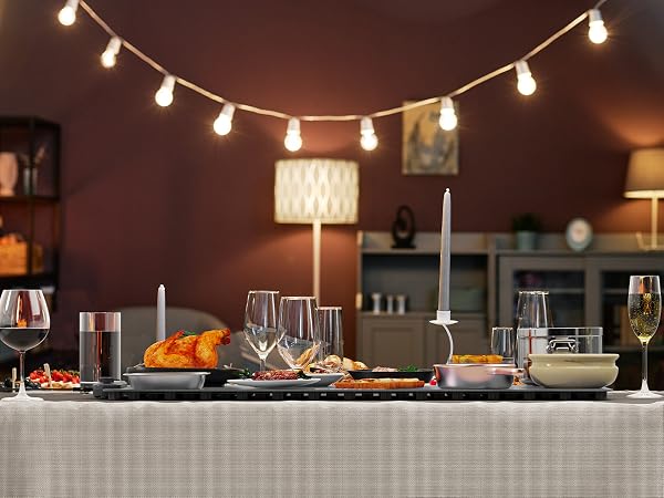 food warming mat