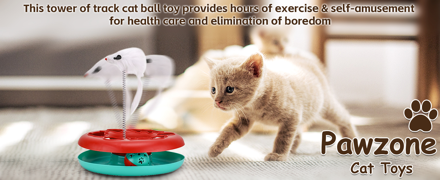 cat toys