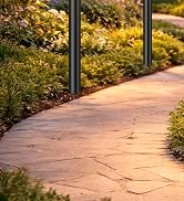 solar pathway lights