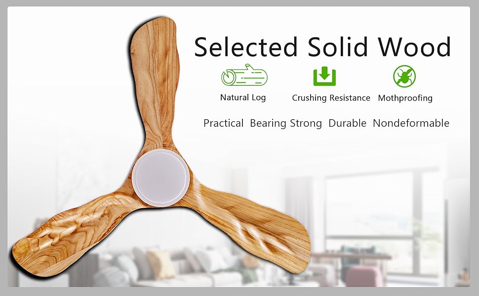 ceiling fan