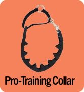 Pro-Training Collar
