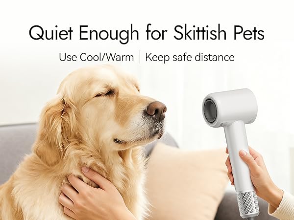 Owner gently drying dog on Cool, pet calm