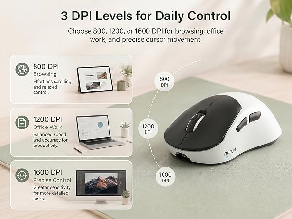 H6 mouse