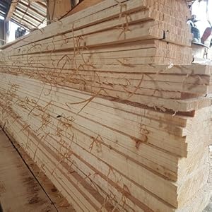 Hinoki A+ 3 images 3