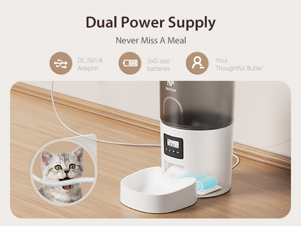 auto cat feeder
