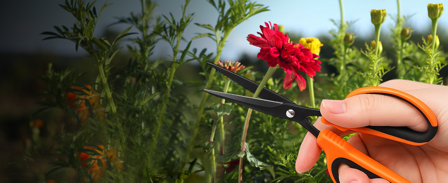 garden scissors
