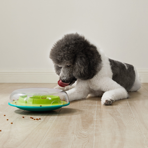 Outward Hound Fun Feeder Slo Bowls