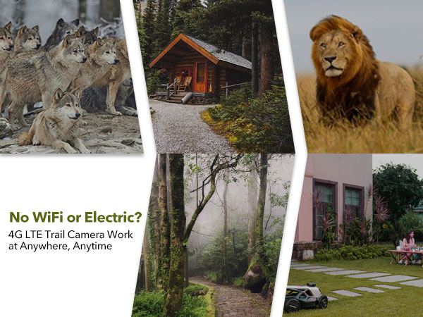 camera security no wifi needed solar trail camera can work anywhere without electric or Wi-Fi