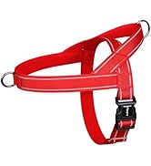 rabbitgoo Dog Harness No Pull,Quick fit for Large Dogs with Soft Padded Handle, Chest Adjustable ...
