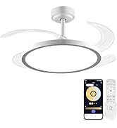 BAYSQUIRREL Retractable Ceiling Fan with Lights and Remote/APP Control,6 Speed Dimmable Reversibl...