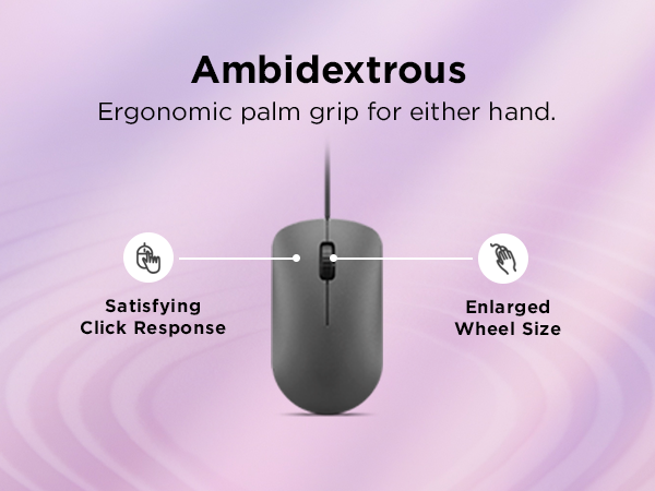 Ambidextrous