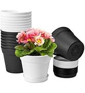 homenote Plant Pots,6 Inch Flower Pots for Plants Plastic Planters for Indoor with Multiple Drain...