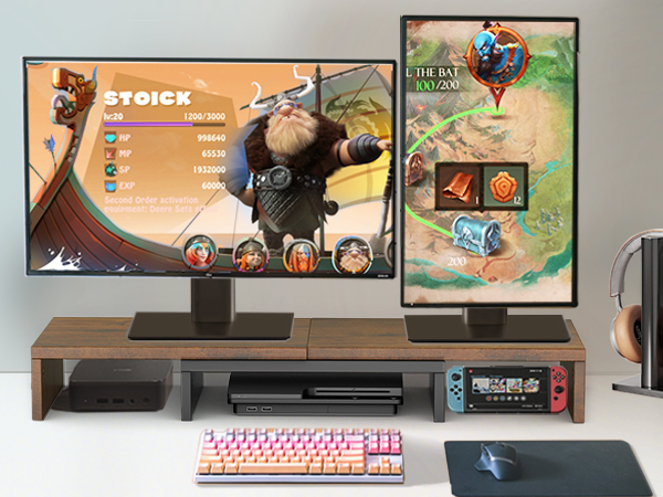Monitor Stand Dual