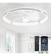 ZMISHIBO 24 Inch Low Profile Ceiling Fans with Lights and Remote, 3000K-6000K Dimmable Fandelier ...