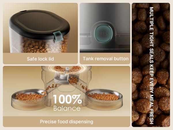 indoor cat feeder auto