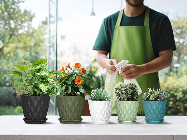 4 inch small plant pots for windowsills, desktops, shelves, or patios.
