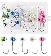 Alownder 20-Pack Fishing Walleye Jig Heads with 3D Holographic Eyes, Round Jig Heads Saltwater Fr...