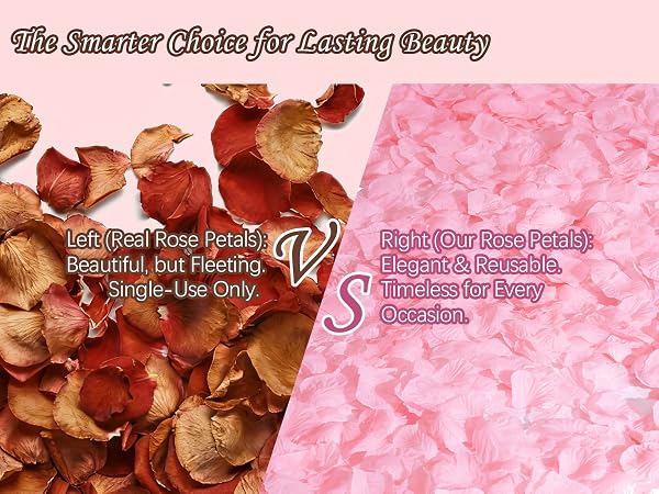 pink rose petals