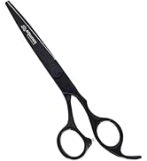 Equinox Professional Razor Edge Series Barber Hair Cutting Scissors - Japanese Stainless Steel Sa...