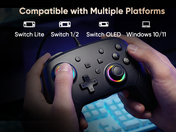compatible with switch