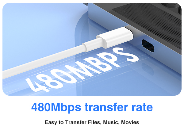 480Mbps transfer rate
