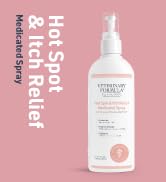 Hot Spot Brand Story
