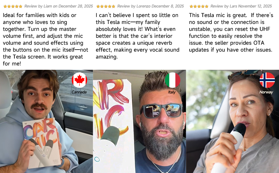 Tesla car microphone
