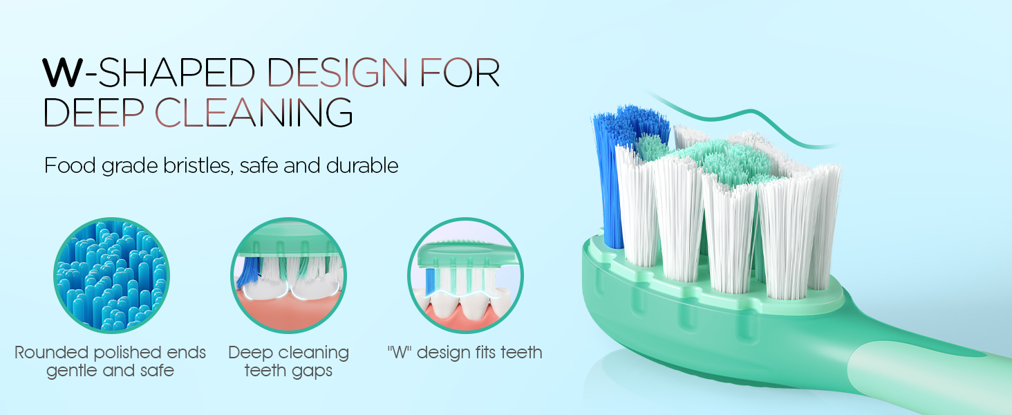 W-SHAPED BRUSH HEAD