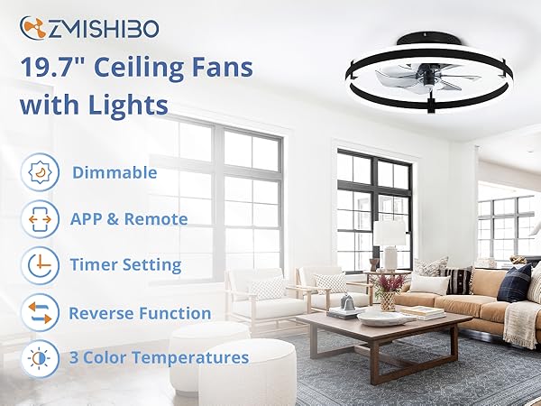 Ceiling Fan