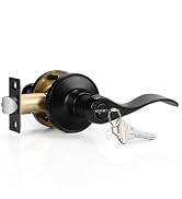 black entry door lever