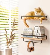 bathroom shelves