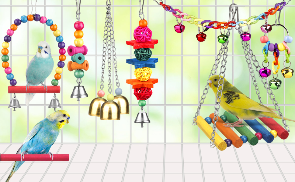 parrot toy