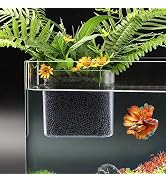 Transparent Aquarium Plant Holder,Betta Fish Tank Accessories Rainforest Style Aquarium Planter, ...