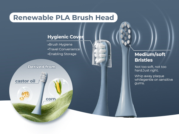 toothbrush replacement heads
