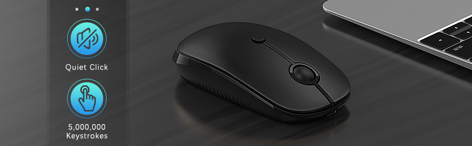 mouse