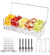 Laojbaba Chilled Condiment Server Clear Icy Condiment Bar Condiment Tray ice Party Serving bar wi...
