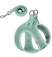 small dog harness