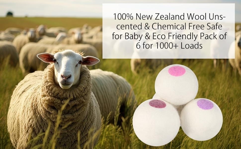 New Zealand Wool