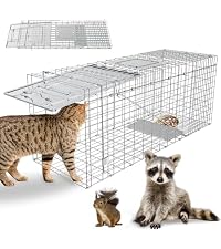 https://m.media-amazon.com/images/I/51qW%2BGq60gL.__AC_SR200,225___.jpg