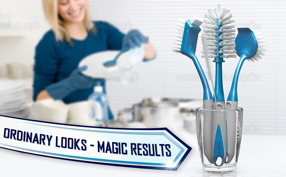 Dish Brush